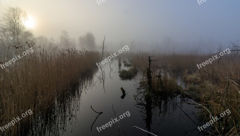 Wurzach Reed Moor Nature Conservation Landscape