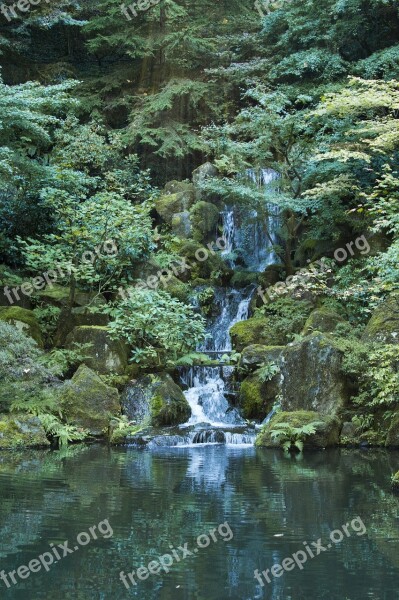 Waterfall Garden Pond Water Plants