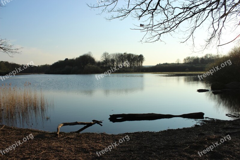 Vote Brook Water Nature Landscape