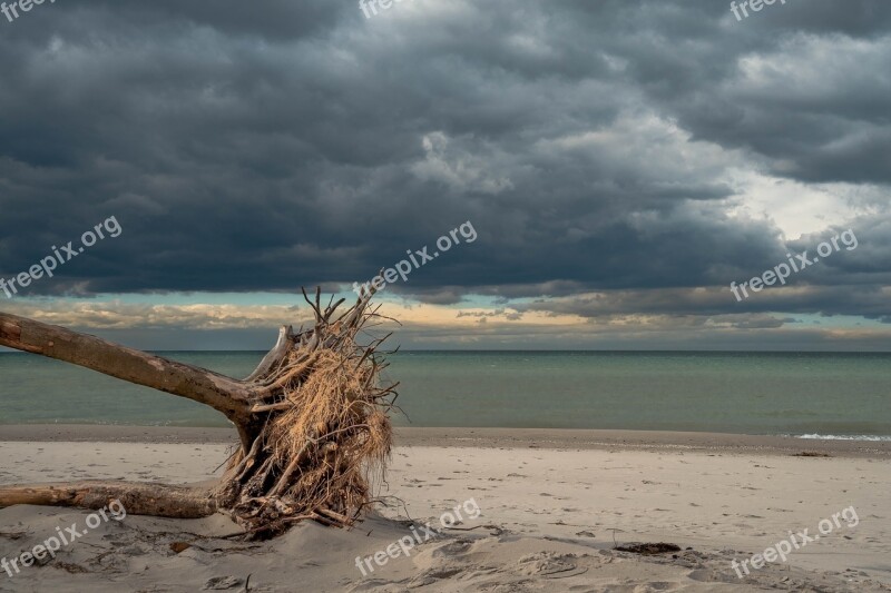 Baltic Sea West Beach Tree Clouds Sea