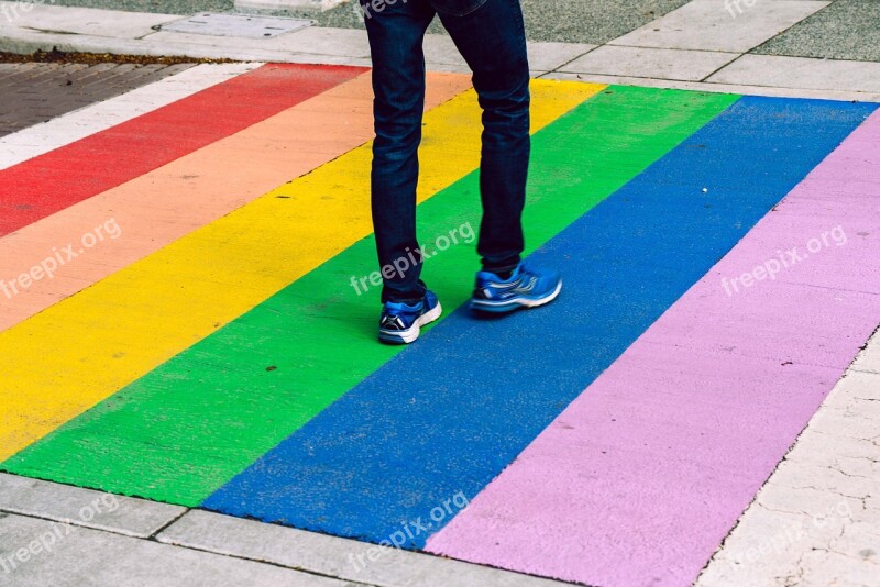 Rainbow Victoria Canada Crosswalk Transition