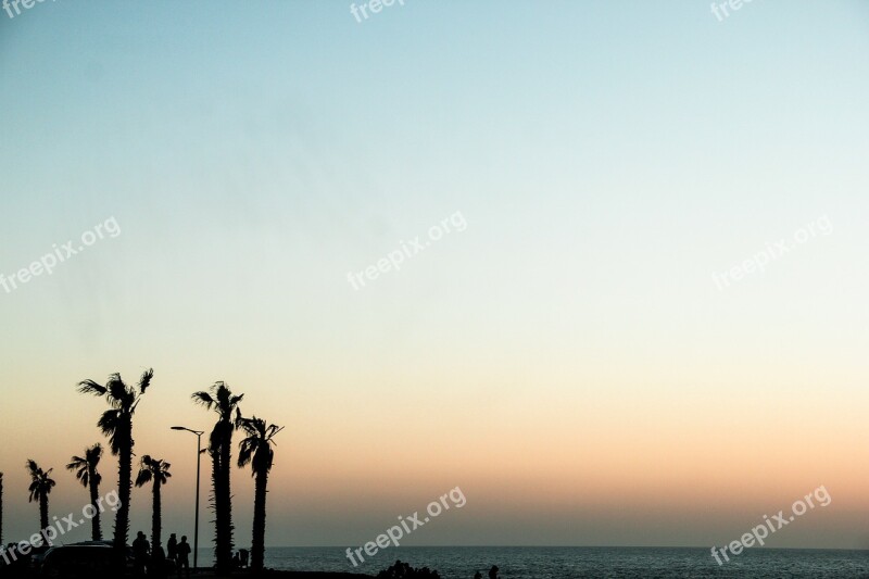 Beach Rabat Morocco Palm Color