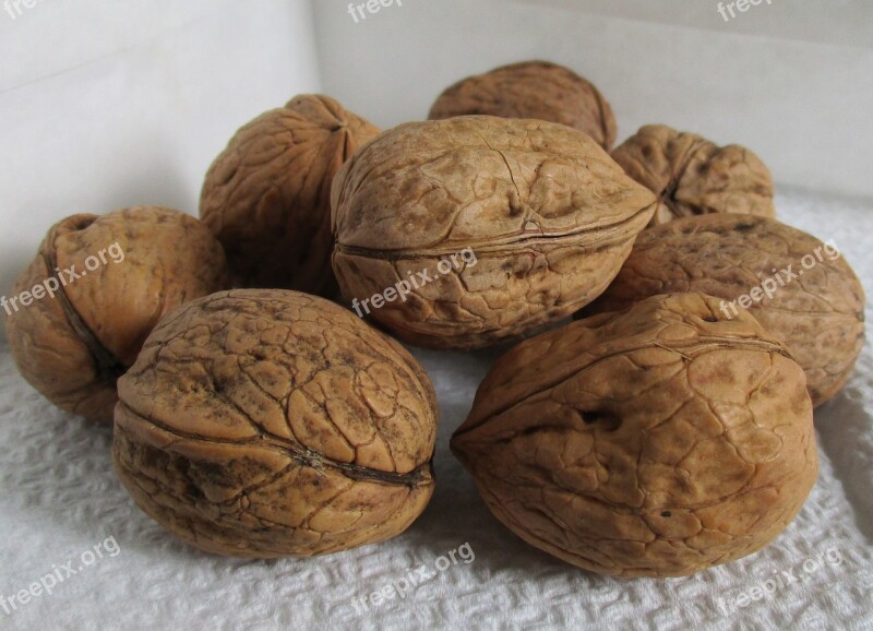 Walnuts Shell Organic Agriculture Dried Fruit