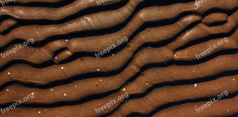 Sand Mud Brown Ripple Shell