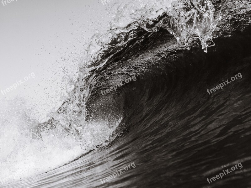 Wave Surf Shorebreak Beach Ocean