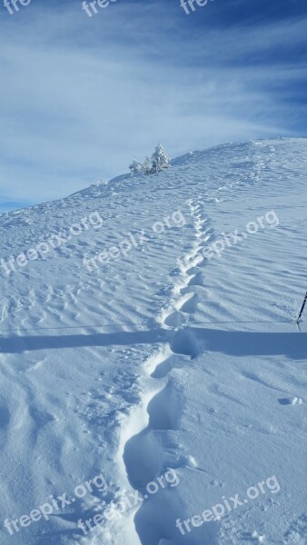 Hiking Winter Snow Trace Nature