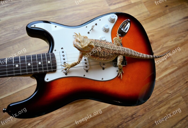 Guitar Electric Lizard Dragon Claws