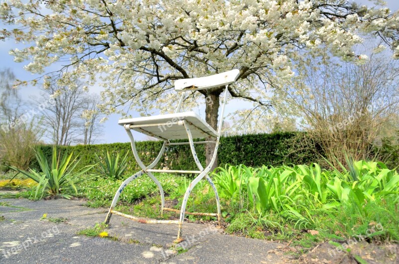 Chair White Rest Wait Blossom