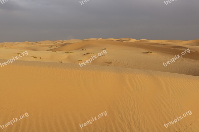 Desert Nature Sand Landscape Abu Dhabi