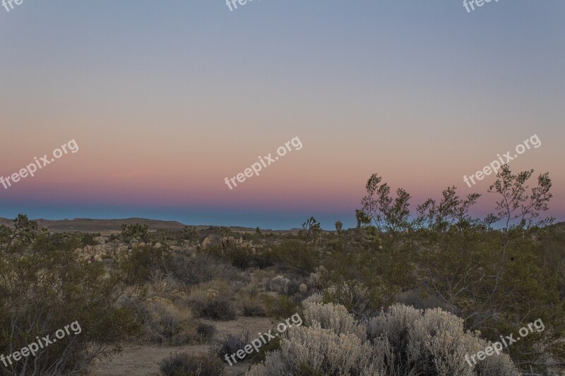 Desert Sky Joshua Tree Gradient California