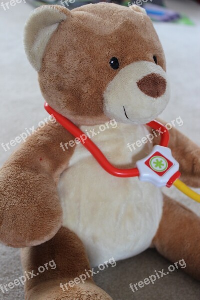 Bear Doctor Profession Medic Checkup