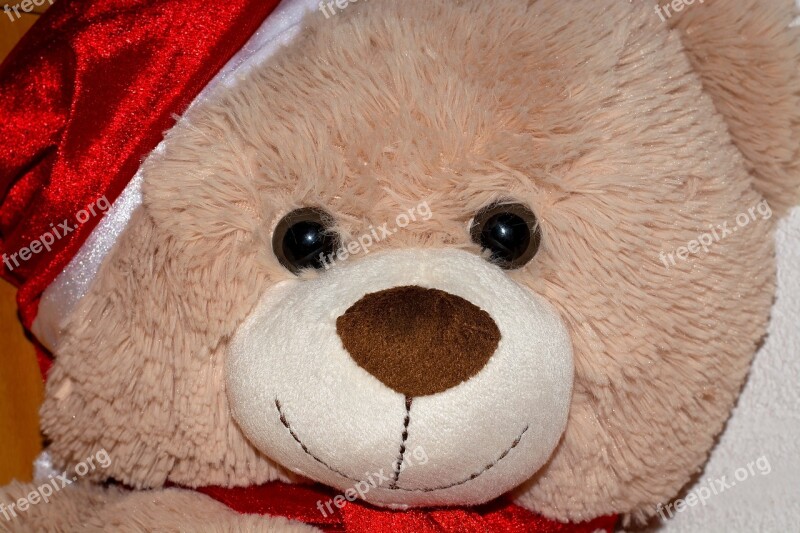 Teddy Bear Teddy Bear Brown Toys