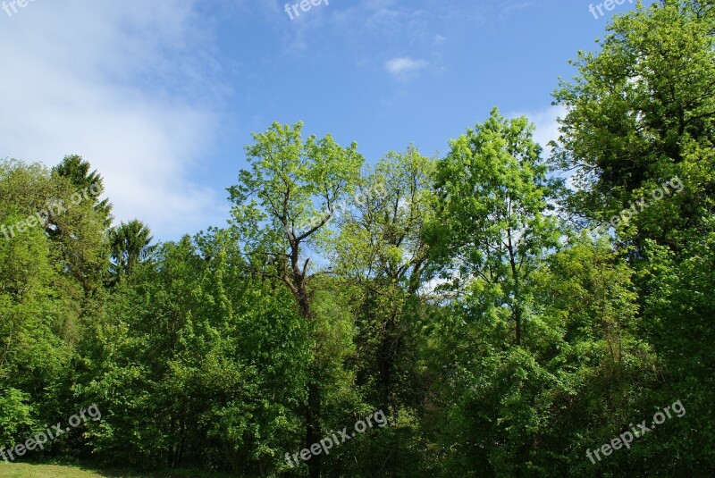 Field Belgium Landscape Nature Trees