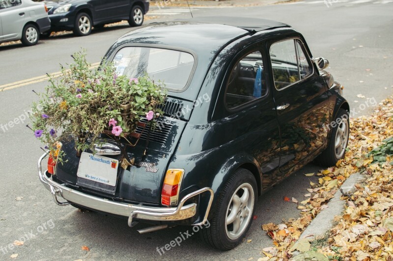 Fiat Car Black Vehicle Auto