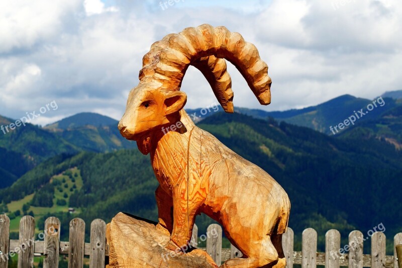 Capricorn Animal Horn Goat Mountain