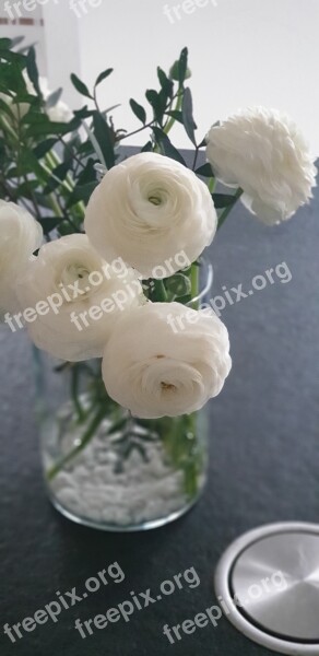 Flowers White Summer Strauss Bouquet Of Flowers