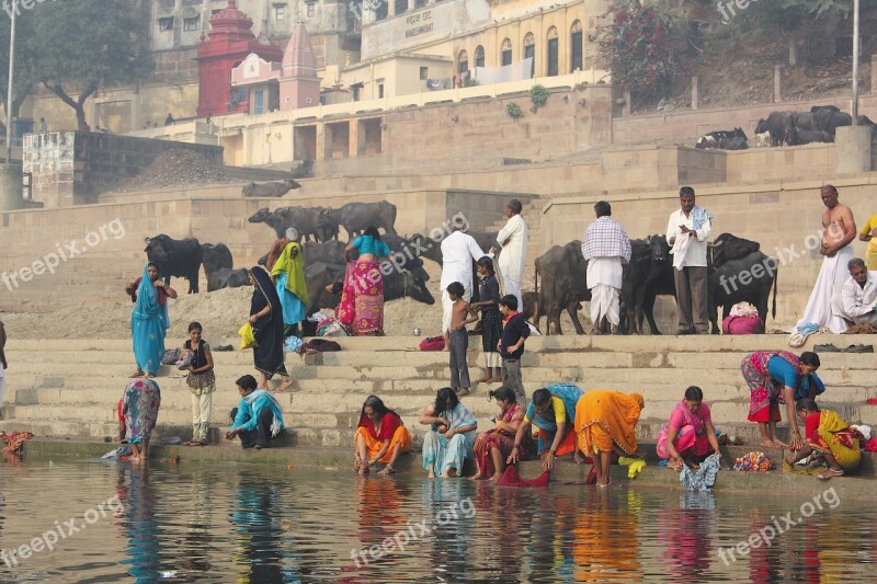 India Banner System The Ganges River Bath Cow