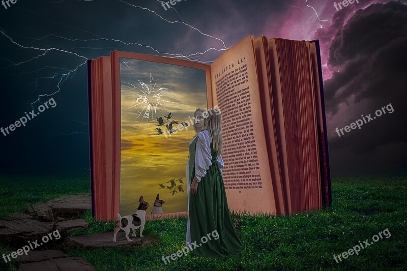 Manipulation Book Mirror Dog Landscape