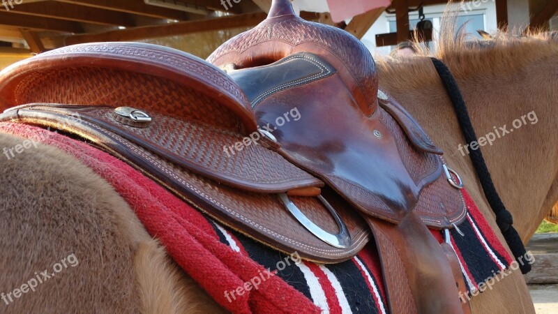 Saddle Cowboy Western Horses Ranch