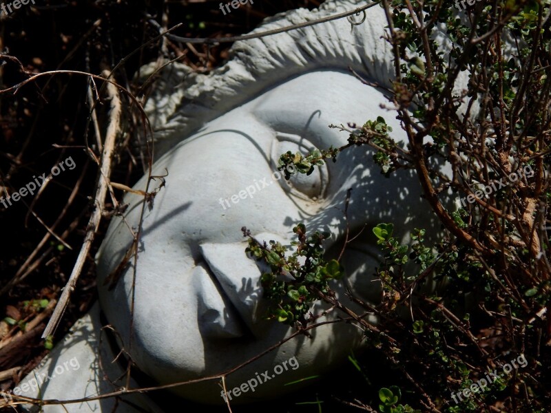 Broken Statue Ceramic Head Lady Statue Head Statue Statue