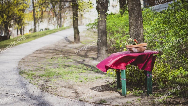 Bench Park Tree Table Nature