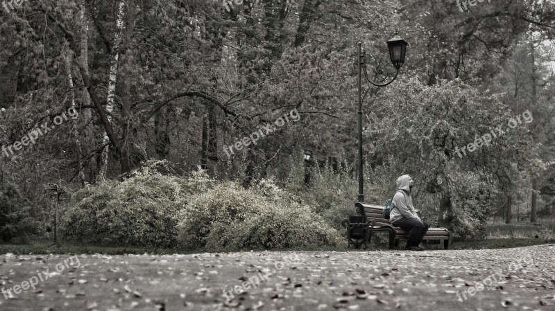 Ukraine Park Only Lamp Autumn