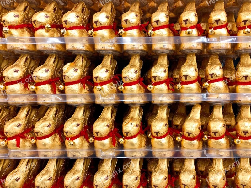 Easter Bunny Chocolate Display Rabbit Buy