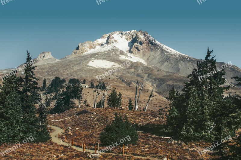 Mountain Mount Hood Oregon Landscape Pinetree