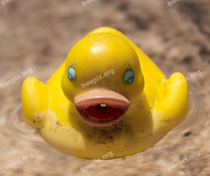 Toy Duck Happy Yellow Plastic