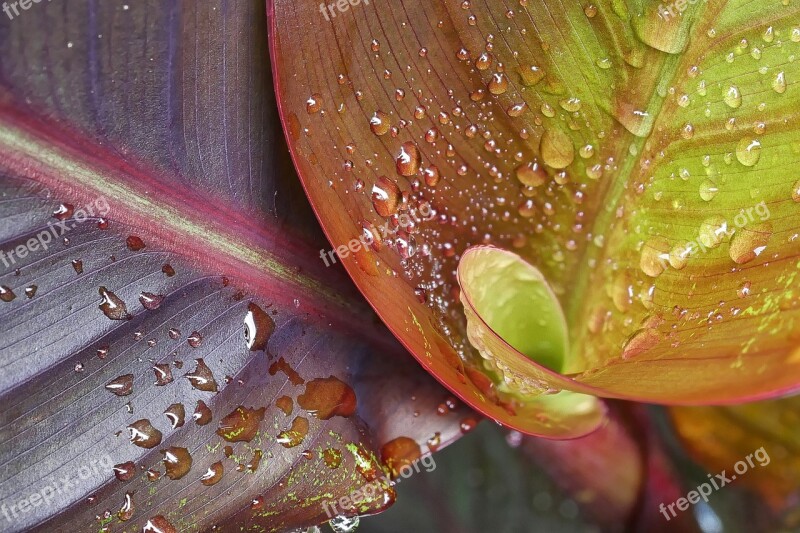 Drop Of Water Spiral Close Up Pattern Free Photos