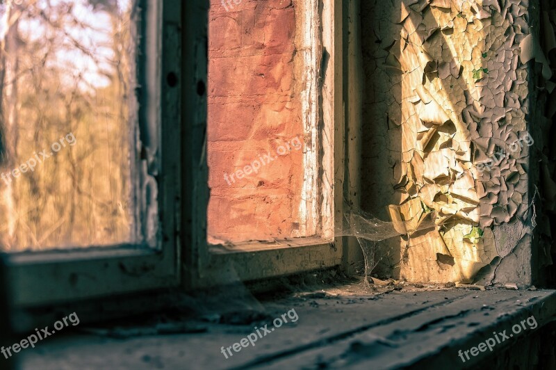 Window Cobweb Web Nature Cobwebs