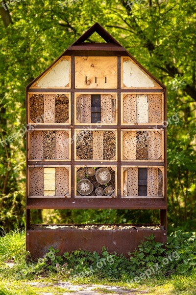 Insects Hotel Insects Hotel Spring Bees