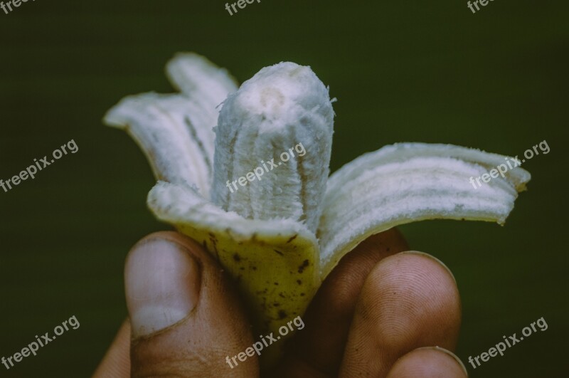 Banana Fruit Macro Healthy Yellow