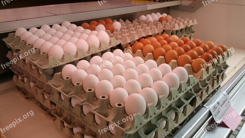 Market Market Stall Farmers Local Market Egg Egg Carton