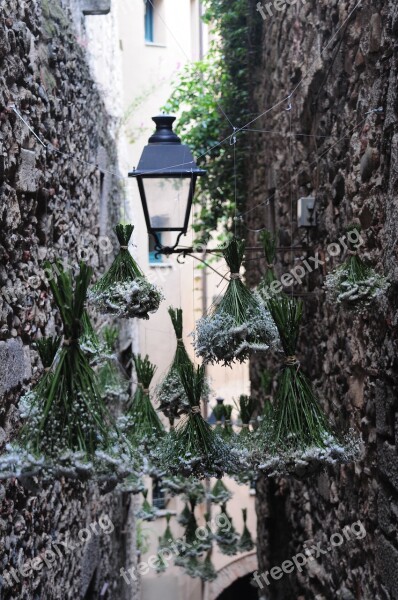 Street Stone Street Lamp Old Free Photos