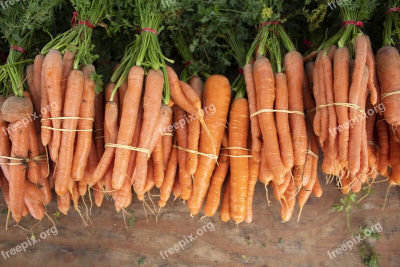 Carrot Vegetable Farmers Market Orange