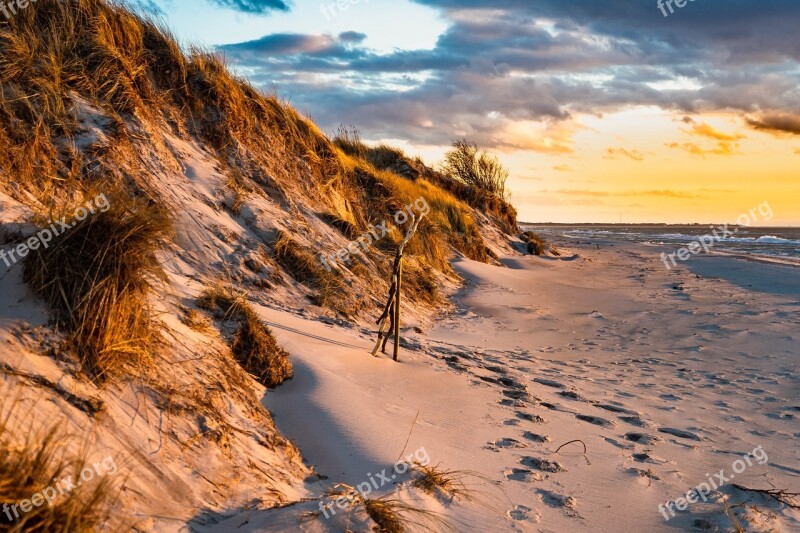 West Beach Baltic Sea Dunes Dune Grass Sea