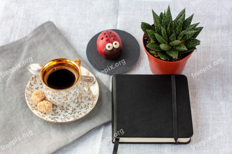 Black Coffee Succulent Notebook Sugar Cake