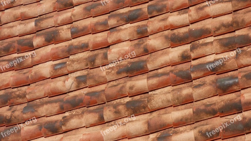 Roof Tiles Red Free Photos