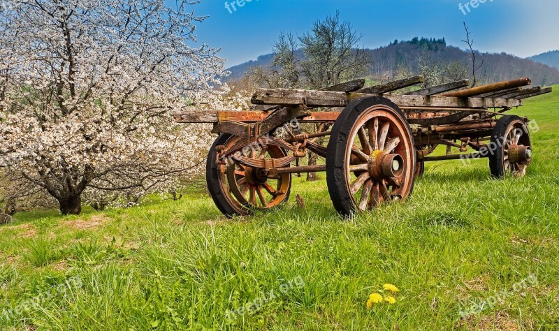 Old Cherry Trees Dare Agriculture Transport Spokes