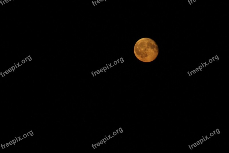 Red Moon Moon Dark Night Free Photos