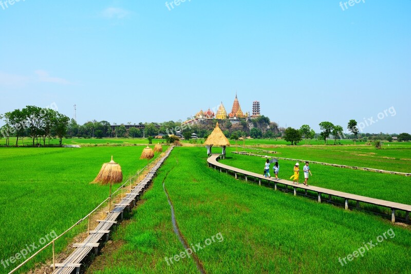 Field Grass Outdoor Countryside Summer