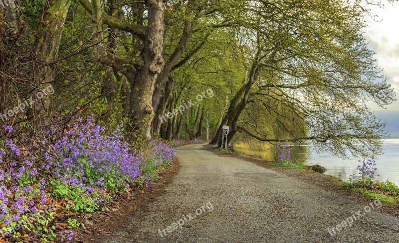 Lake Spring Nature Landscape Water