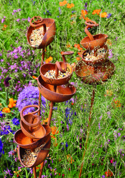 Bird Feeder Seeds Plants Garden Nature