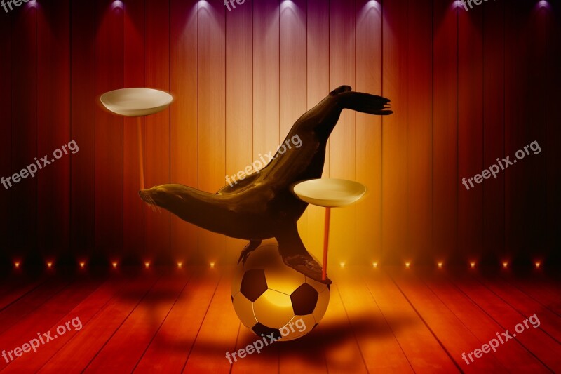 Sea ​​lion Plate Football Stage Wood