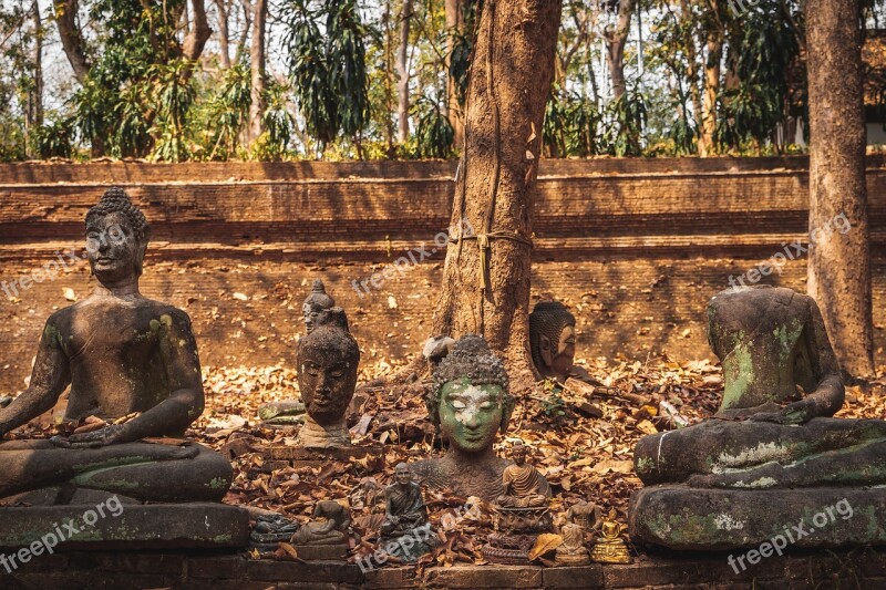 Wat Temple Mai Thailand Chiang