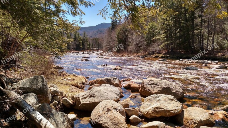 Stream Water Nature Landscape River