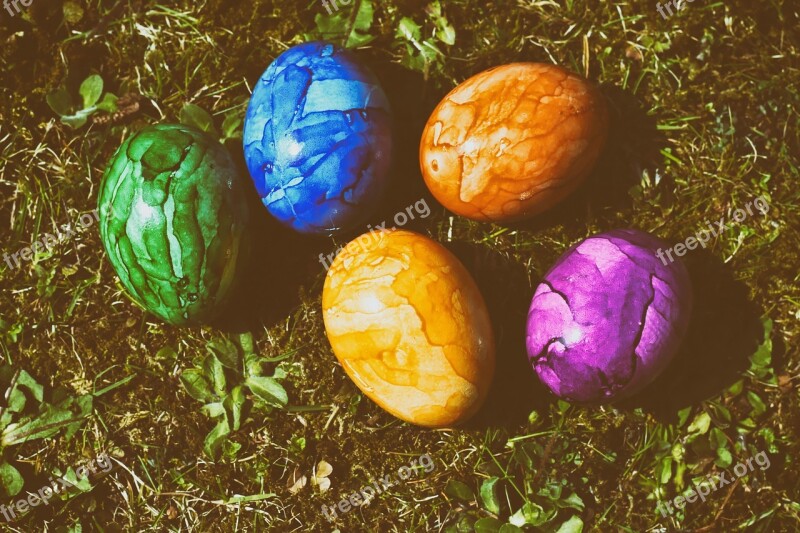 Easter Egg Colored Easter Eggs Colorful