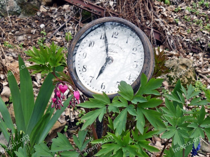 Garden Watch Old Antique Bed Spring