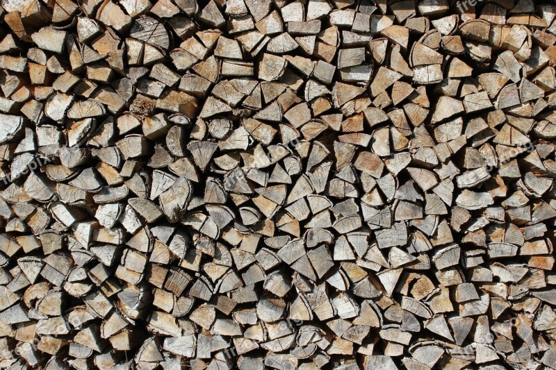 Wood Log Firewood Growing Stock Heat